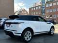 Land Rover Range Rover Evoque S*Tüv*Inspektion* Weiß - thumbnail 9