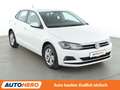 Volkswagen Polo 1.0 TSI Advance*ACC*KLIMA*GARANTIE* Weiß - thumbnail 8