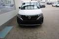 Nissan Townstar EV Townstar VAN N-Connecta EV 45kWh Weiß - thumbnail 22