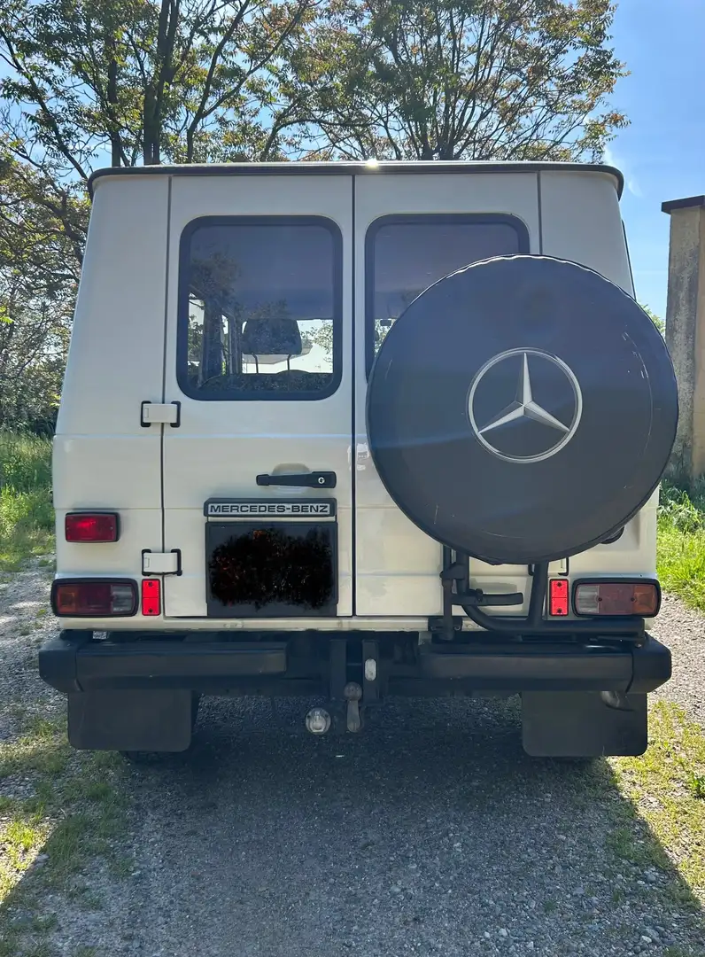 Mercedes-Benz G 280 GE SW lungo - 2