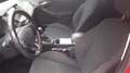 Ford Focus 1.5 Red Edition.Climate control,Navi,Cruise contro Rood - thumbnail 5