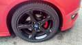 Ford Focus 1.5 Red Edition.Climate control,Navi,Cruise contro Rood - thumbnail 20
