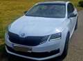 Skoda Octavia Octavia 1,0 TSI Style LimitedStyle Limited Weiß - thumbnail 3