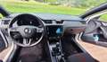 Skoda Octavia Octavia 1,0 TSI Style LimitedStyle Limited Weiß - thumbnail 7