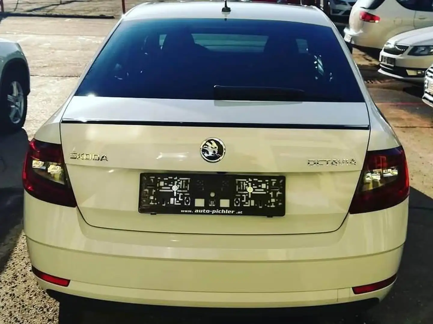 Skoda Octavia Octavia 1,0 TSI Style LimitedStyle Limited Weiß - 2