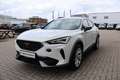 CUPRA Formentor 1.4 e-Hybrid Business Edition 204PK | BTW | 1e Eig Wit - thumbnail 11