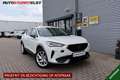 CUPRA Formentor 1.4 e-Hybrid Business Edition 204PK | BTW | 1e Eig Wit - thumbnail 1