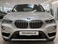 BMW X1 xDrive 20 d xLine Grau - thumbnail 2