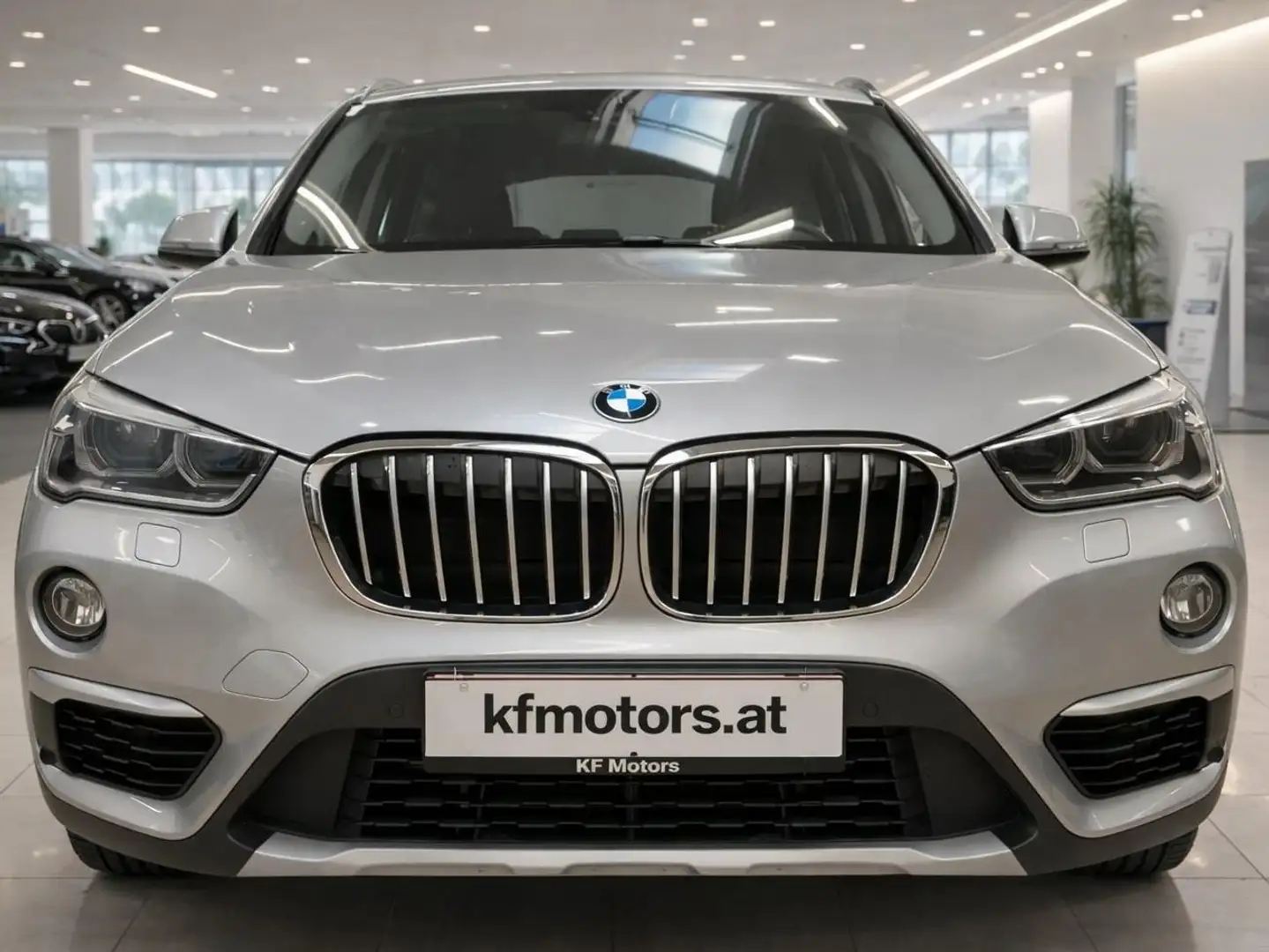 BMW X1 xDrive 20 d xLine Grau - 2