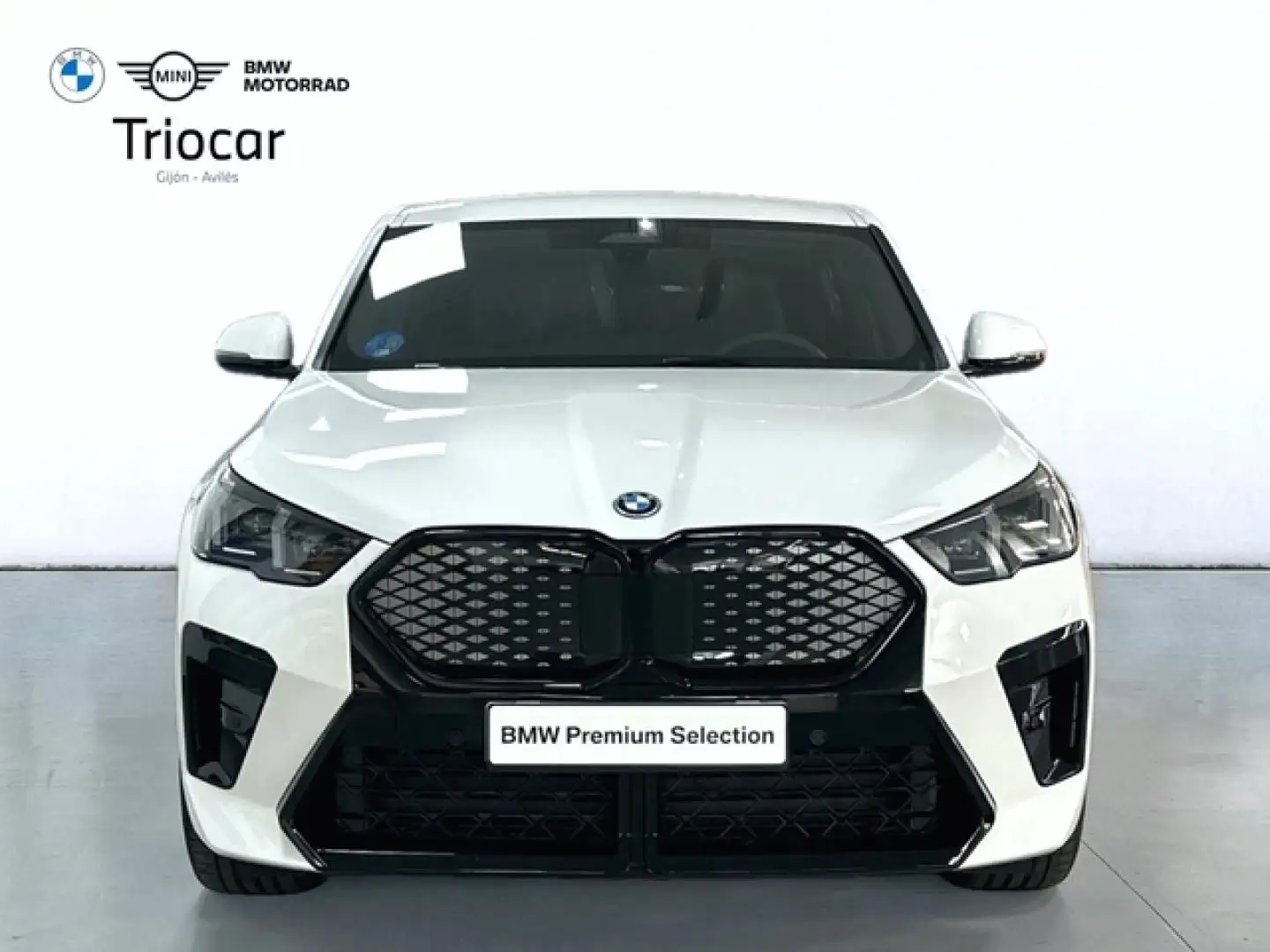 BMW iX2 eDrive20A Alb - 2