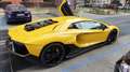 Lamborghini Aventador lp780 ultimae žuta - thumbnail 5