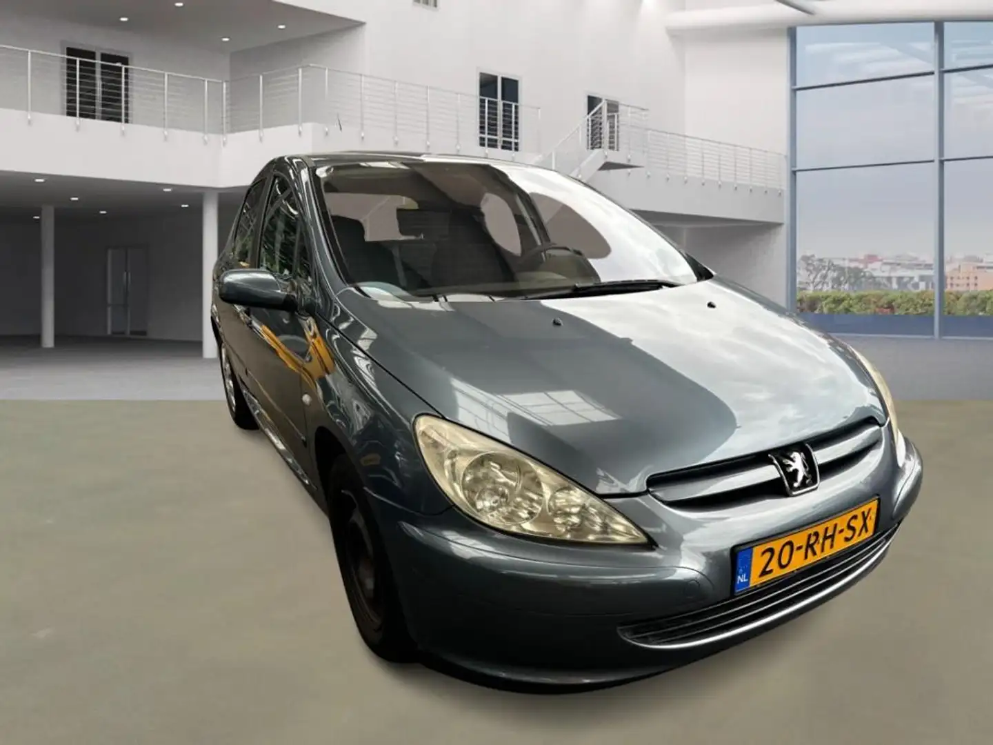 Peugeot 307 1.6-16V XS Premium Grijs - 2