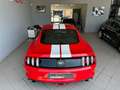 Ford Mustang Mustang  Fastback 2.3 ecoboost 317cv UFFICIALE ITA - thumbnail 8