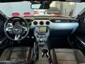 Ford Mustang Mustang  Fastback 2.3 ecoboost 317cv UFFICIALE ITA - thumbnail 11