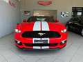 Ford Mustang Mustang  Fastback 2.3 ecoboost 317cv UFFICIALE ITA - thumbnail 5