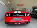 Ford Mustang Mustang  Fastback 2.3 ecoboost 317cv UFFICIALE ITA - thumbnail 9