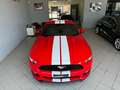 Ford Mustang Mustang  Fastback 2.3 ecoboost 317cv UFFICIALE ITA - thumbnail 3