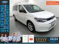 Volkswagen Caddy Maxi 2.0 TDI DSG LED+AHK+ACC+SHZ Weiß - thumbnail 1