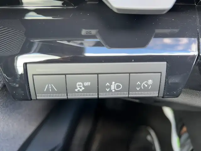 Renault Austral view 19