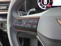 CUPRA Leon ST 2.0 TDI Aut LED NAVI LEDER SITZHZG R-CAM Grau - thumbnail 21