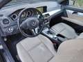 Mercedes-Benz C 220 CDI S.W. BlueEFFICIENCY Avantgarde Schwarz - thumbnail 41