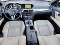 Mercedes-Benz C 220 CDI S.W. BlueEFFICIENCY Avantgarde Schwarz - thumbnail 23