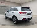Kia Sorento Platinum Edition 4WD,AHK, Vollausstattung Weiß - thumbnail 7