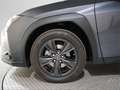 Lexus UX 250h Premium 4WD - thumbnail 16