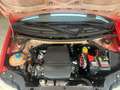 Fiat Panda Panda 1.2 4x4 CLIMA Rouge - thumbnail 14