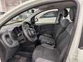 Fiat Panda 1.3 Mjt 95cv S&S E6 Easy Bianco - thumbnail 9