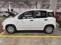 Fiat Panda 1.3 Mjt 95cv S&S E6 Easy Bianco - thumbnail 2