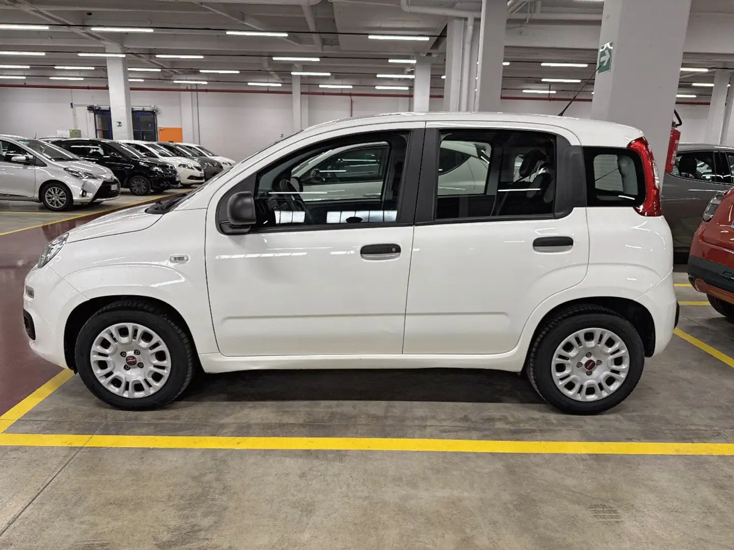 Fiat Panda 1.3 Mjt 95cv S&S E6 Easy Bianco - 2