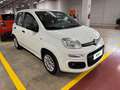 Fiat Panda 1.3 Mjt 95cv S&S E6 Easy Bianco - thumbnail 5
