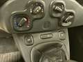 Fiat Panda 1.3 Mjt 95cv S&S E6 Easy Bianco - thumbnail 14