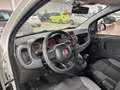 Fiat Panda 1.3 Mjt 95cv S&S E6 Easy Bianco - thumbnail 8