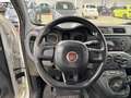 Fiat Panda 1.3 Mjt 95cv S&S E6 Easy Bianco - thumbnail 16