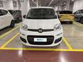 Fiat Panda 1.3 Mjt 95cv S&S E6 Easy Bianco - thumbnail 6