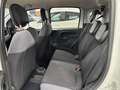 Fiat Panda 1.3 Mjt 95cv S&S E6 Easy Bianco - thumbnail 10