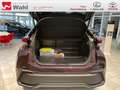 Toyota C-HR 2.0 Plug-In Hybrid FWD Team Deutschland Violett - thumbnail 8