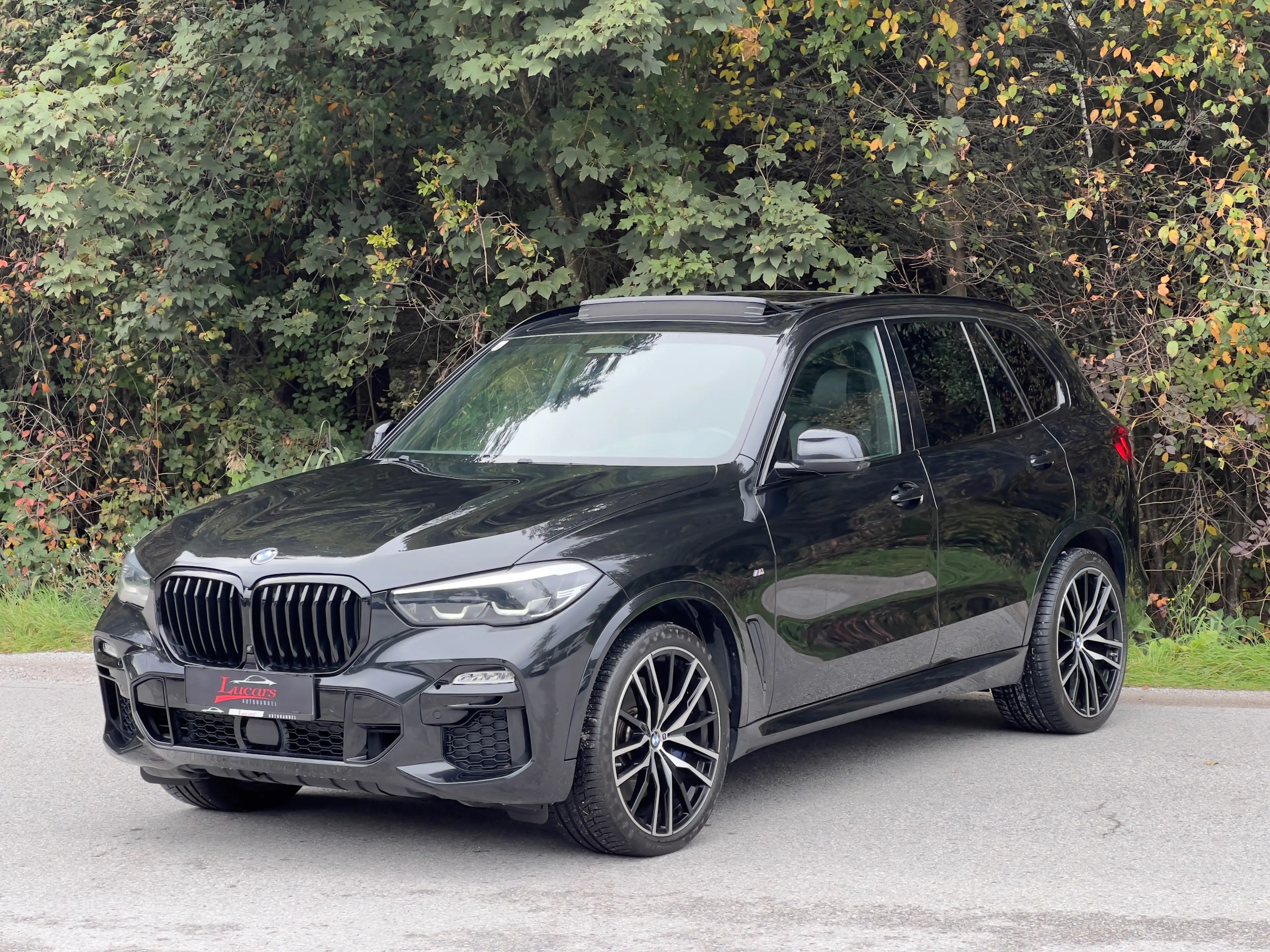BMW X5 xDrive 40 d M Sport*VOLL*22 ZOLL*ACC*AHK*PANO*HUP* — photo 4