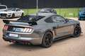 Ford Mustang GT 5,0 SHELBY LCD/ACC COC EUROP Gris - thumbnail 13