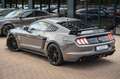 Ford Mustang GT 5,0 SHELBY LCD/ACC COC EUROP Gris - thumbnail 14