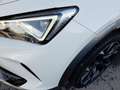 CUPRA Formentor 4x4 2,0 TDI DSG *19 ZOLL / VOLL-LED & FLA / VIR... Weiß - thumbnail 15