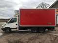 Iveco Daily 40C14 3.0 HPI Clixtar Koelkoffer Thermoking Laadkl Wit - thumbnail 14