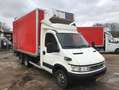 Iveco Daily 40C14 3.0 HPI Clixtar Koelkoffer Thermoking Laadkl Wit - thumbnail 16