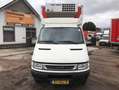 Iveco Daily 40C14 3.0 HPI Clixtar Koelkoffer Thermoking Laadkl Wit - thumbnail 3