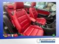 Volkswagen Golf VI 1.4 TSI Cabriolet Lounge *LEDER*NAVI* Schwarz - thumbnail 14