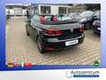 Volkswagen Golf VI 1.4 TSI Cabriolet Lounge *LEDER*NAVI* Schwarz - thumbnail 6