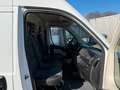 Fiat Ducato+L4H2+AHK 3.5t+erst 73 TKM+TÜV NEU+TOP!!! Weiß - thumbnail 32