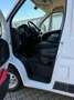Fiat Ducato+L4H2+AHK 3.5t+erst 73 TKM+TÜV NEU+TOP!!! Weiß - thumbnail 25